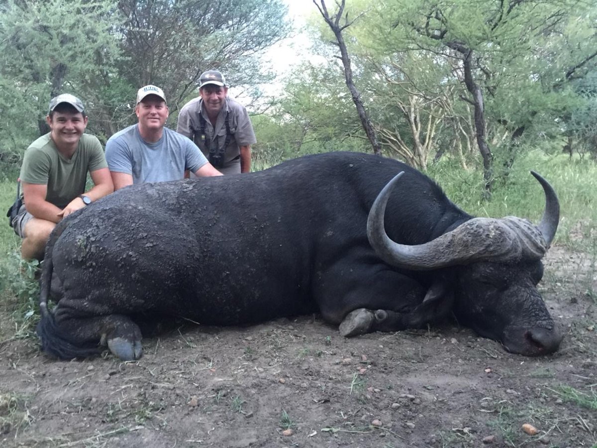 Hunters with Cape Buffalo trophy at Tolile Lodge