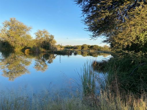Best Time to Visit Limpopo: Hunting Season vs. Photographic Safari Season Best Time to Visit Limpopo: Hunting Season vs. Photographic Safari Season