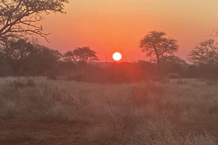Sunset over the bushveld at Tolile Lodge