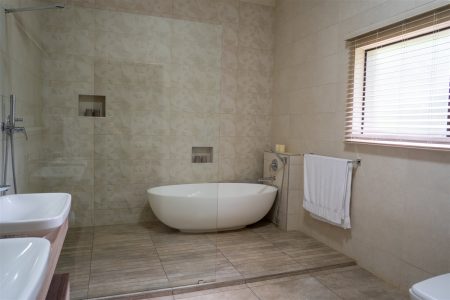 En-suite bathroom with a freestanding bath at Tolile Lodge